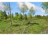 5481 County Road 73C - Photo 25