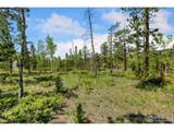 5481 County Road 73C - Photo 26