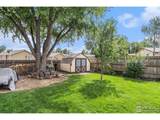 3334 34th St - Photo 19