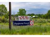 750 Kubat Ln - Photo 44