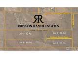 0 County Road 17 (Lot 1) - Photo 6