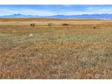 0 County Road 17 (Lot 1) - Photo 9
