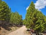 113 Shoshoni Dr - Photo 18