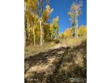 884 Grand County Road 283 - Photo 7