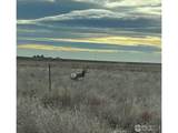 58736 County Road 23 - Photo 46