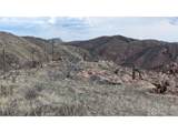 1360 Meadow Mountain Dr - Photo 13