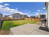 831 Emerald Lakes St - Photo 28