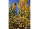 10658 Us Highway 34 - Photo 4