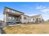 1322 Alyssa Dr - Photo 39