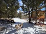 115 Wenro Ct - Photo 21