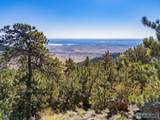 6109 Red Hill Rd - Photo 14