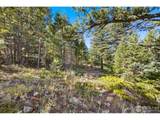 323 Roxbury Dr - Photo 10