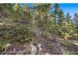 323 Roxbury Dr - Photo 13