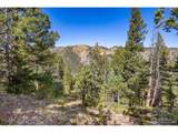 323 Roxbury Dr - Photo 14