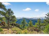14900 Elk Mountain Trl - Photo 40