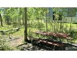 8500 Ryan Gulch Rd - Photo 21