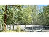 8500 Ryan Gulch Rd - Photo 34