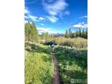 8500 Ryan Gulch Rd - Photo 37