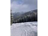 8500 Ryan Gulch Rd - Photo 41
