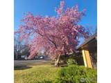 1308 Robertson St - Photo 46