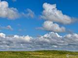 39281 County Road 38 - Photo 9