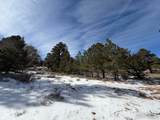 2799 Kiowa Ct - Photo 25