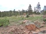 1601 Osage Trl - Photo 19