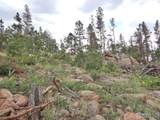 1601 Osage Trl - Photo 20