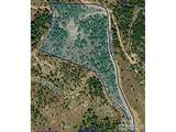 15111 Elk Mountain Trl - Photo 1
