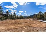 15111 Elk Mountain Trl - Photo 10