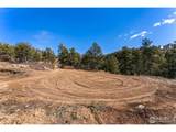 15111 Elk Mountain Trl - Photo 11