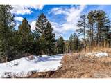15111 Elk Mountain Trl - Photo 12