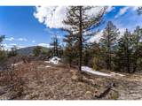 15111 Elk Mountain Trl - Photo 13