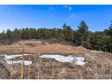 15111 Elk Mountain Trl - Photo 14