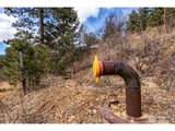 15111 Elk Mountain Trl - Photo 16