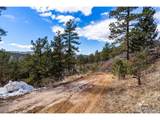 15111 Elk Mountain Trl - Photo 3