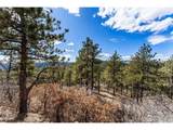 15111 Elk Mountain Trl - Photo 5