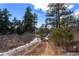 15111 Elk Mountain Trl - Photo 6