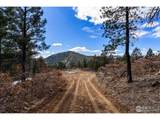 15111 Elk Mountain Trl - Photo 8