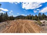 15111 Elk Mountain Trl - Photo 9