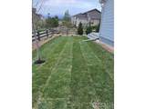 2817 Cub Lake Dr - Photo 40