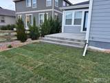 2817 Cub Lake Dr - Photo 41