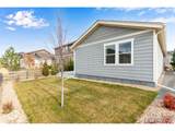 2817 Cub Lake Dr - Photo 44