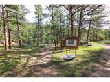35 Cody Ct - Photo 43