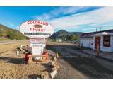 35 Cody Ct - Photo 45