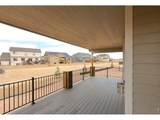 3163 Barley Grass Dr - Photo 5