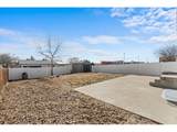 102 7th St - Photo 48