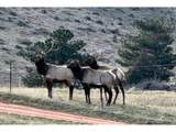 1114 & 1115 Vision Way - Photo 15