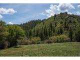 18880 County Road 500 - Photo 10
