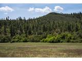 18880 County Road 500 - Photo 11